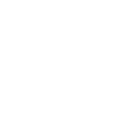 MonkiFiles Logo